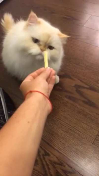 Bring me real food peasant!