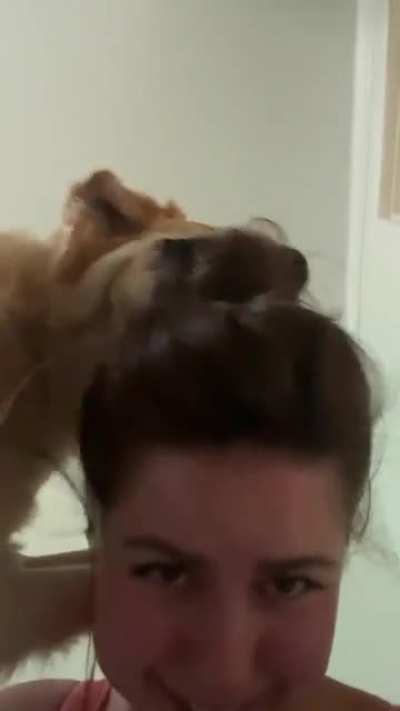 Eating my wife&rsquo;s hair like a dork