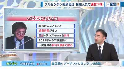 Milei en la tv japonesa