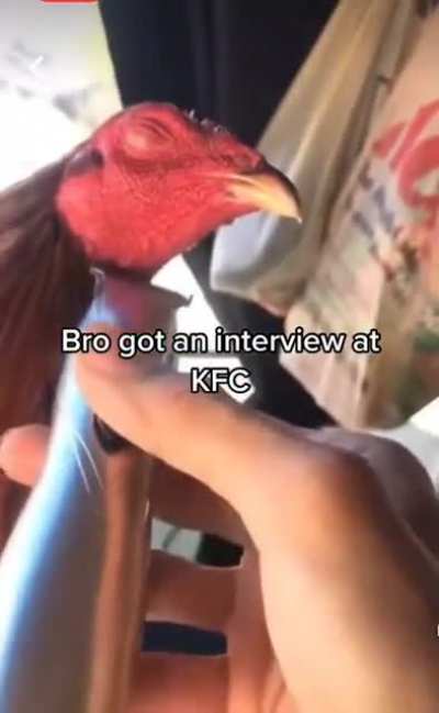Say good luck to him