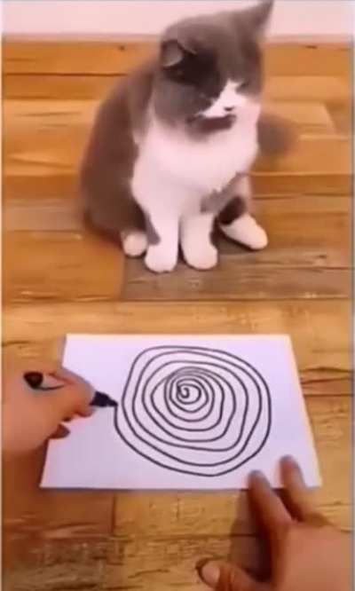 Couldn&rsquo;t stand the spirals