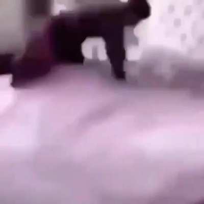 Revive this sub