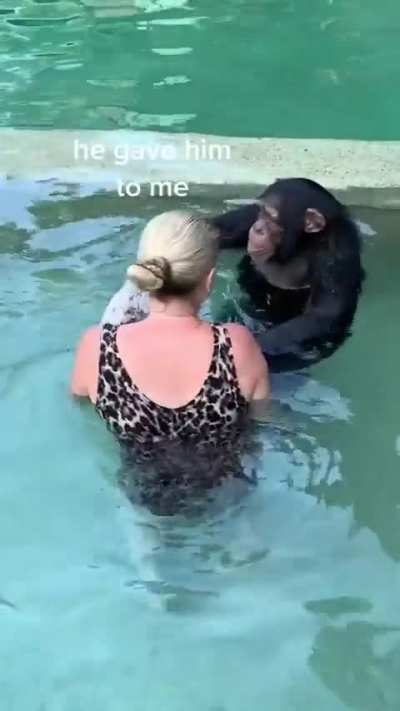 The monkey's actions are so warm