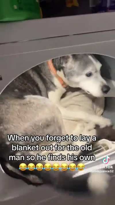 (Not OC/not my dog) Won&rsquo;t bring me my blankie? Fine, I&rsquo;ll go get it myself >:(