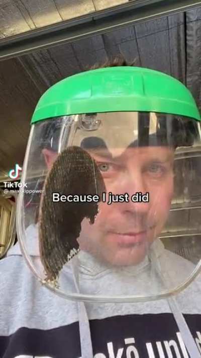 Holy shit