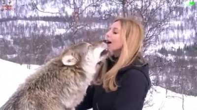 Thanks, I hate perfectly normal wolf greetings