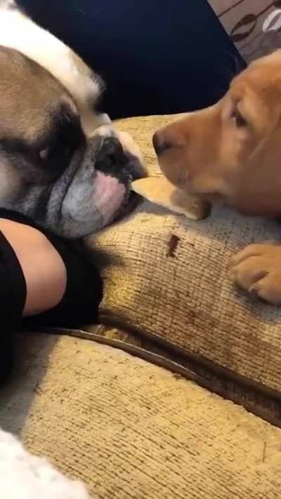 Sharing is caring