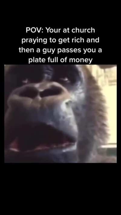 The Lord giveth🙏🍌💰🦍