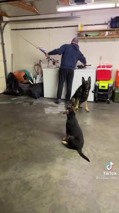 Definitely not guard dogs &amp;amp; one hell of a scream