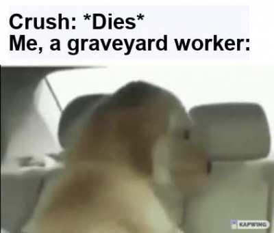 Excuse me?