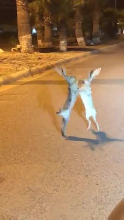 Street brawl