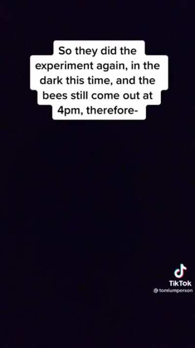 Bees can perceive time.
