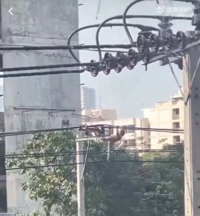 Weakest Shaolin monk 