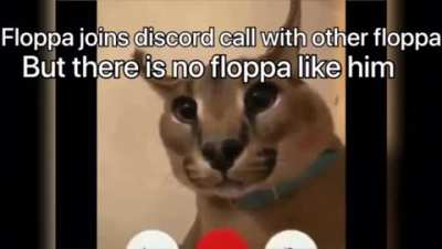 floppa day