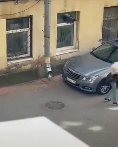 Снимая молодую ворону с крыши автомобиля