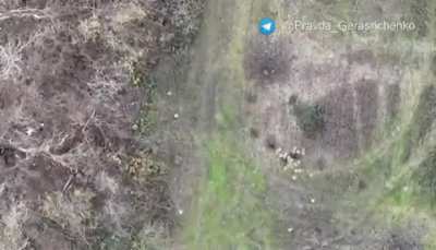 Ua pov: Ukrainian drone destroys two locations full of AT mines in Zaporozhia Region that were allegedly being used by Russian forces to mine the fields. Sound effect of explosion was added by source to silent drone footage