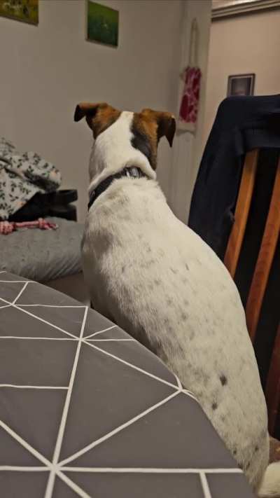He's doing it again