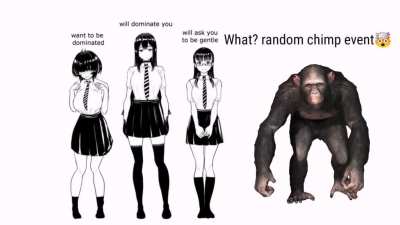 This is random (OC)