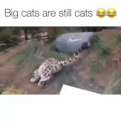 He looks so happy