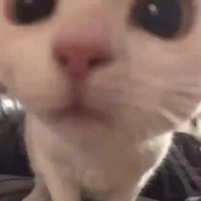 :0