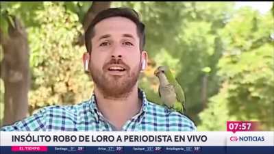 negame la inseguridad..