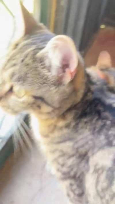 I&rsquo;m ready for my close-up.