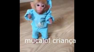 vazou