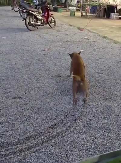 Vc ajudaria? 🥹