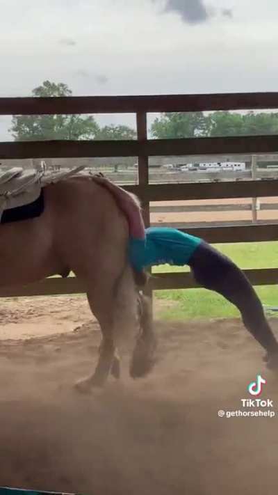 She's an awesome rider... uh nvm.