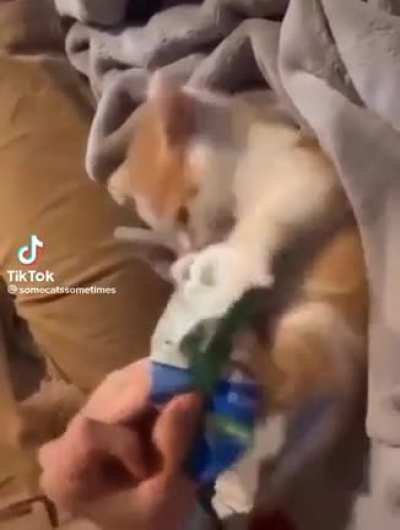 He take