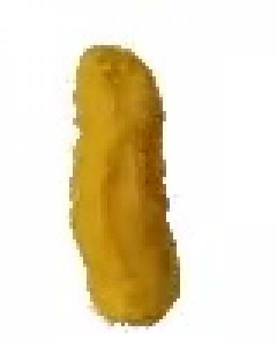 Bdjskakakwjw