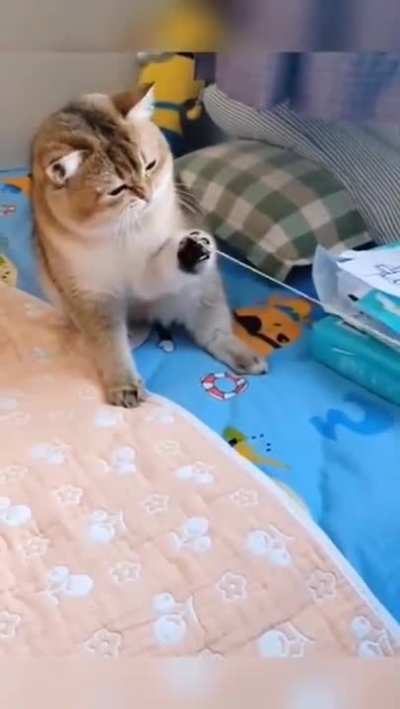 Aaaaaa!!
