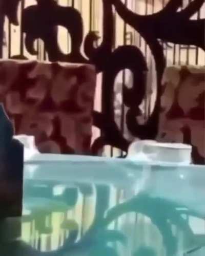 Pa estrenar el nuevo flair