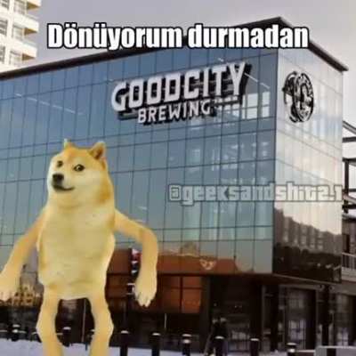 Artık K&ouml;pke'yi &uuml;zmeyin :'(