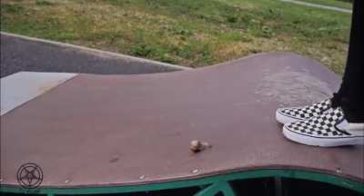 Vans crush bug