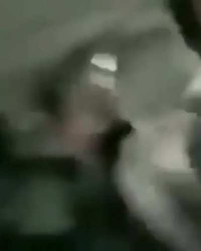 XD