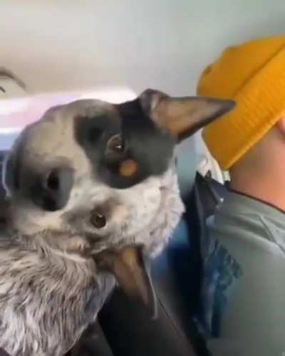 Best friend