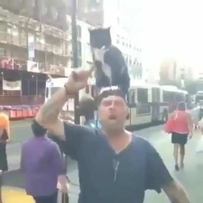 The cat it&rsquo;s changing him