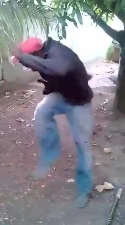Fake snake attack