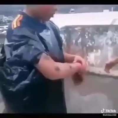 La ca&iacute;da del muro de Berl&iacute;n be like: