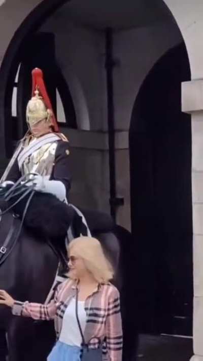 Queen's Guard scolds tourist for touching horse's reins