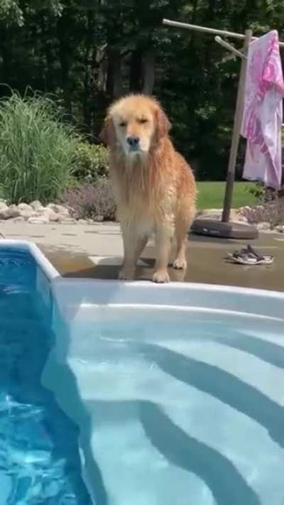 &ldquo;I can&rsquo;t believe you&rsquo;ve done this&rdquo;