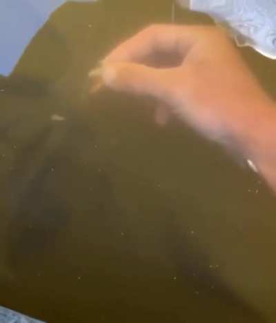 You&rsquo;re not a fish!!!