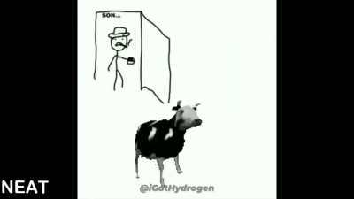 Im the aerodynamics of the cow