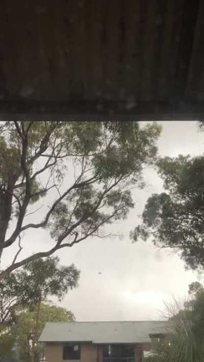 Summer in Australia