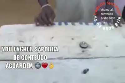 Bora guys para. de robar meme e fa&ccedil;a u ceu