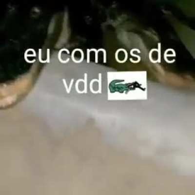Os de vdds sei quem s&atilde;o 😎✋