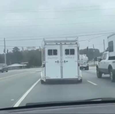 Caution Horses! (fixed it)