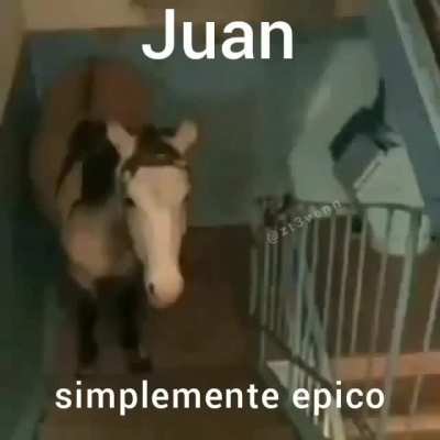 no intentes comprenderlo, solo g&oacute;zalo
