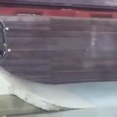 Ballsy skateboarding trick